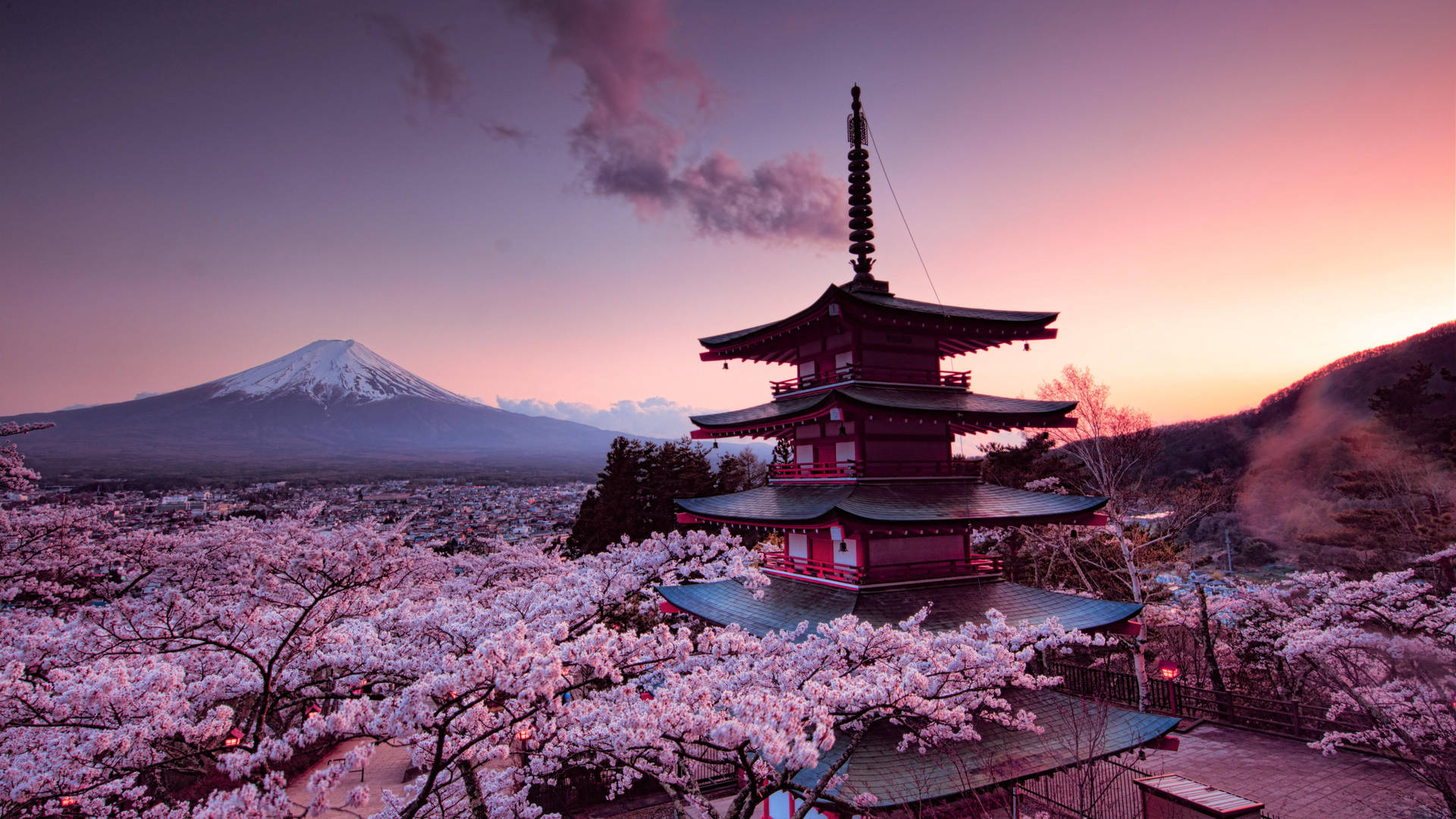 Zen Horizons: Timeless Journey Through Japan